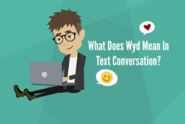 What Does Wyd Mean In Text Conversation?